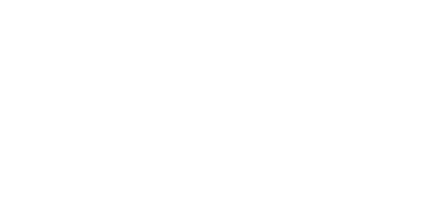 Future